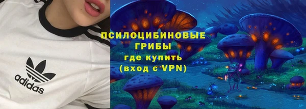 МДМА Бородино